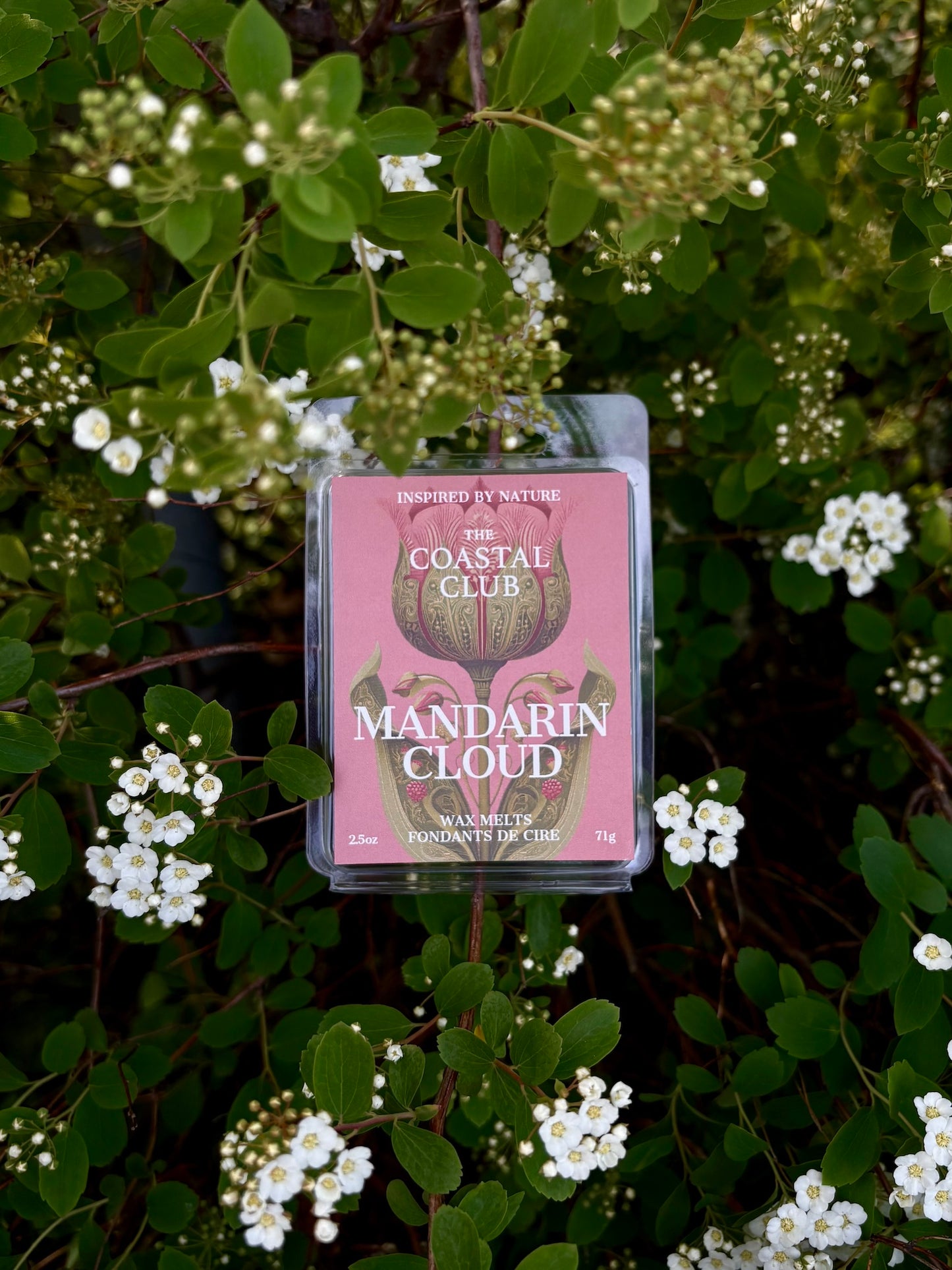 Mandarin Cloud Wax Melts | Mandarin, Orange Blossom, Marshmallow