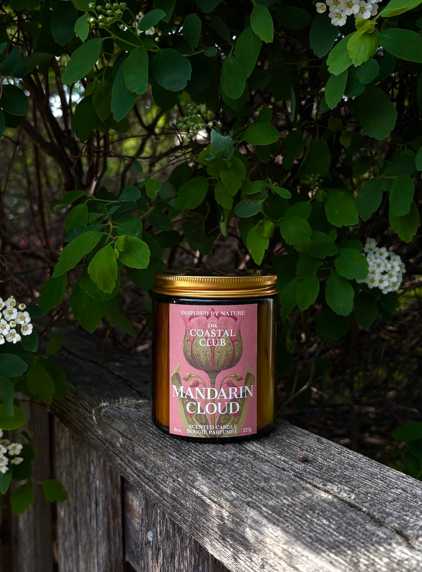 Mandarin Cloud Candle | Mandarin, Orange Blossom, Marshmallow