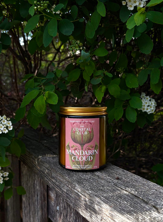 Mandarin Cloud Candle | Mandarin, Orange Blossom, Marshmallow