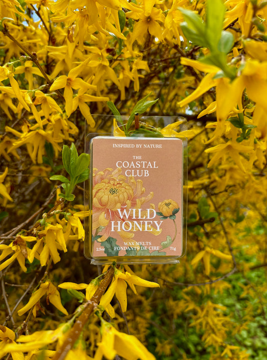 Wild Honey Wax Melts | Honey Wildflower Vanilla