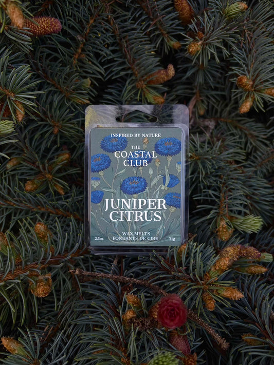 Juniper Citrus Wax Melts | Juniper Ginger Citrus