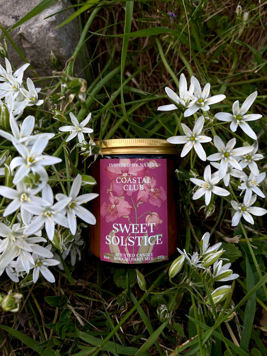 Sweet Solstice Candle | Pistachio, Heliotrope, Frothy Milk