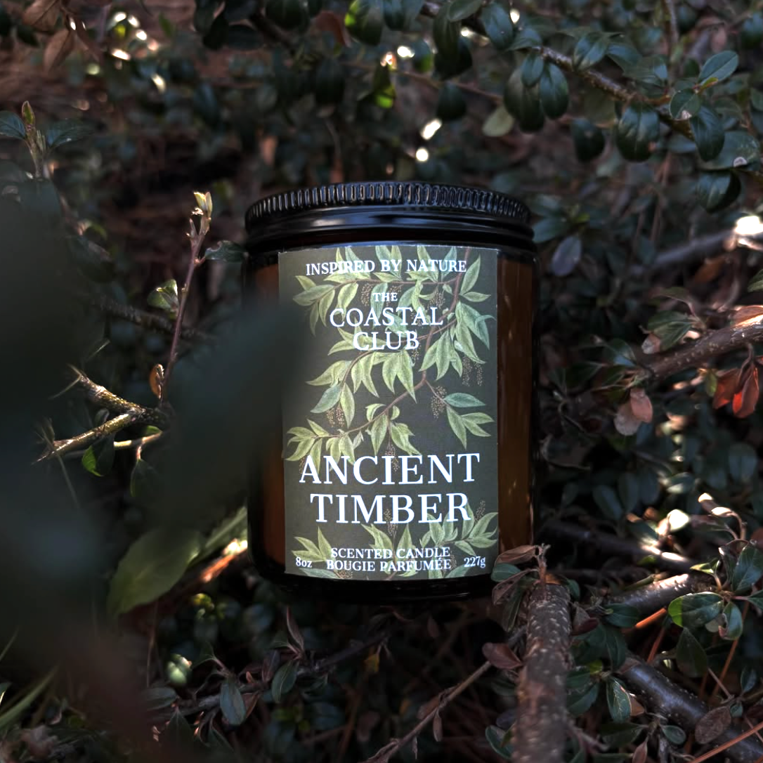 Ancient Timber Candle | Cedar, Saffron, Amber